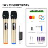 Microfone sem fio transfronteiriço um para dois guia de áudio externo ao vivo explosões de comércio exterior família KTV microfone para cantar