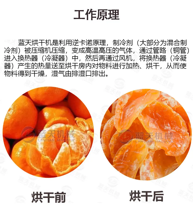 详情(20盘)_04.jpg