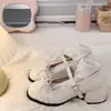 Zapatos de tacón alto de encaje con lazo estilo francés populares para mujer, nuevos zapatos de tacón grueso para otoño 2026 para combinar con faldas, zapatos Mary Jane