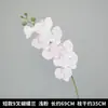 Ramo Artificial de Phalaenopsis, Flores Falsas de Alta Gama para Celebraciones de Bodas, Decoración de Salón de Bodas, Flores Artificiales, Flores de Seda de Phalaenopsis