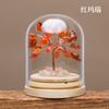 Árbol del Dinero de Grava de Cristal Natural Cubierta de Polvo de Vidrio Micro Paisaje Árbol de Cristal Árbol de la Vida Amazonas Muebles para el Hogar