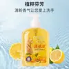 500ml Higienizador de Mãos para Enfermeiros Suave, Limpo, Refrescante, Portátil, Aloe Vera, Limão, Aroma de Losna, Atacado e Dropshipping