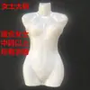 Soporte de Exhibición de Busto de Maniquí de Medio Cuerpo para Tienda de Ropa de Baño, Maniquí de Ropa para Exhibición de Pijamas, Exhibición de Maniquíes para Niños y Niñas