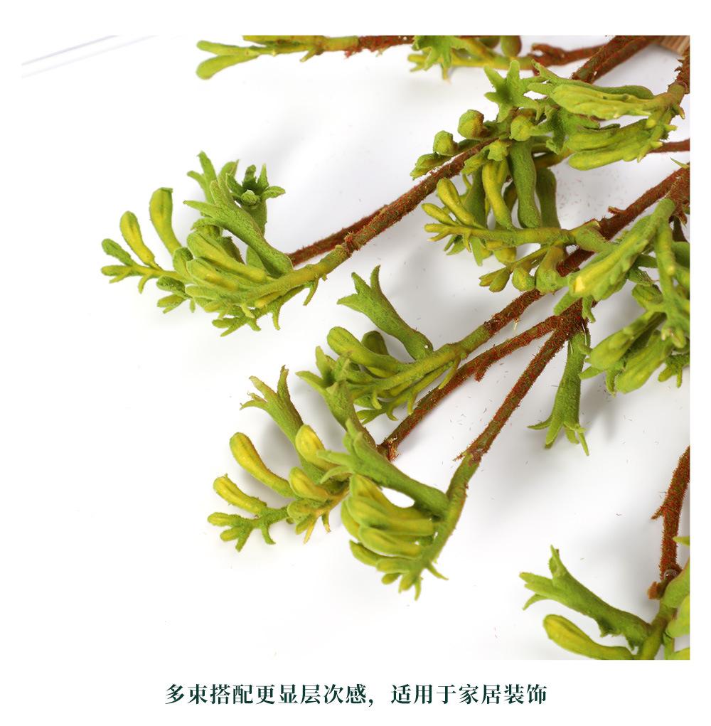 袋鼠爪-8.8_08.jpg