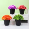 Amazon Explosões Simulação Planta em Vaso Combinação Decoração de Mesa para Casa Planta Verde Mini Planta de Simulação Bonsai Flor de Simulação