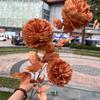 2025 tema naranja floristería de bodas rojo atardecer naranja naranja naranja naranja decoración de salón de bodas flores artificiales al por mayor