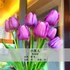 Bulbos de Tulipa para Venda no Atacado, Variedade de Pétala Simples, 1 Bulbo por Pacote, Bulbos de 5 Graus, Plantas de Flores de Interior em Vasos, Floresce o Ano Todo, Fácil de Cuidar