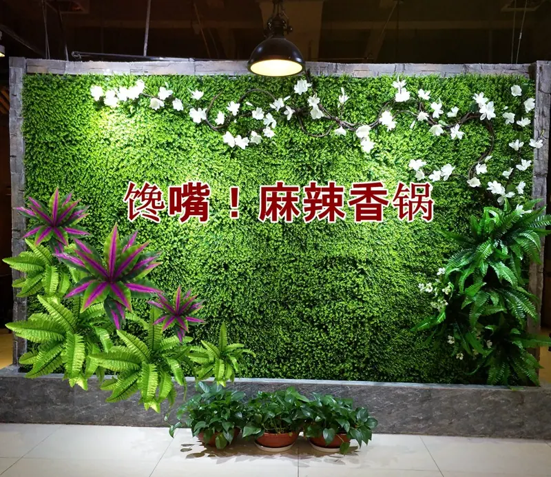 馋嘴.jpg