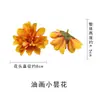 Pintura al Óleo Escandinava Pequeña Epiphyllum Flor Artificial de Margarita DIY Cabeza de Flor de Margarita Tocado Étnico Pasador Material de Flor Adornos Pequeños para el Hogar