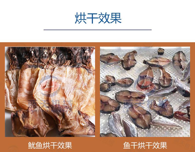 银鱼烘干机_12.jpg