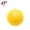 Venda Direta do Fabricante Foli Sports de Bolas de Golfe Coloridas, Bolas de Golfe Coloridas de Camada Dupla para Prática Disponíveis em Dezesseis Cores