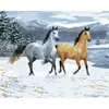 Dropshipping Transfronterizo Pintura al Óleo Digital al por Mayor Pinturas sin Marco 40X50 Amazon Wish Fábrica de Pintura Vestíbulo Ozon Caballo