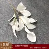 Decoração de Casamento com Flores Brancas, Peônias, Phalaenopsis, Rosas, Arranjos Florais de Teto e Arranjos Florais Pretos para o Salão de Casamento