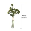 Ailala Ouriço Fruta Mão Nota Simulação Flor Fabricante Flor Artificial Plantas Verdes Atacado Decoração de Casamento Artesanato Estilo INS