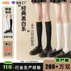 Medias negro terciopelo, calcetines estilo JK japonés, calcetines largos, efecto reductor, calcetines de media pantorrilla para mujer, calcetines finos de verano, calcetines largos blancos hasta la rodilla