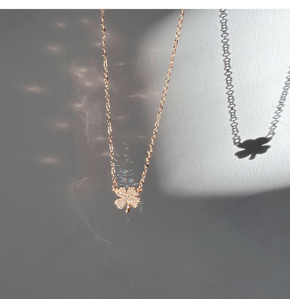 O1CN01lUvEDp1M506yW91yq_!!9254