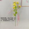 Simulación manzanilla pequeña Margarita crisantemo silvestre flor de seda flor falsa boda Hogar Hotel decoración de ingeniería flor al por mayor