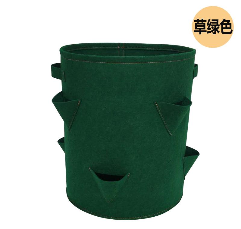 草莓详情7