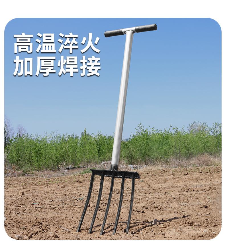 详情_11.jpg