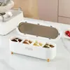 Caja de Condimentos Dividida de Lujo Ligero, Caja de Almacenamiento de Condimentos para Cocina Doméstica, Caja de Condimentos de Grado Alimenticio, Frasco de Plástico para Condimentos con Tapa