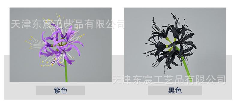详情_05.png