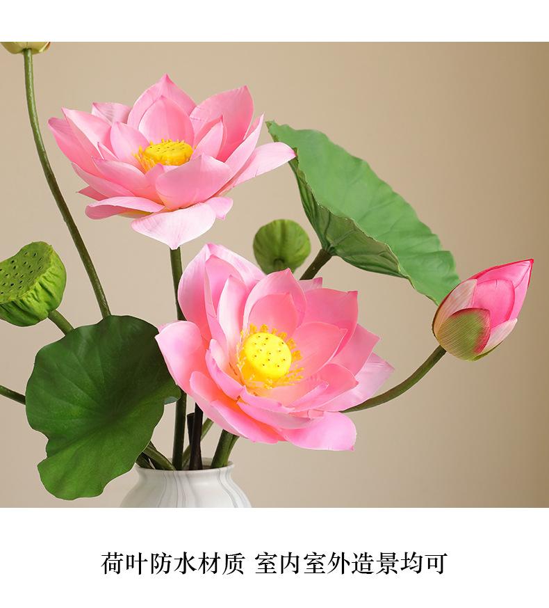 初尘荷花系列_14.jpg