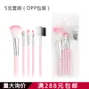 Ashariya Paquete de Cinco Pinceles Rosas Pincel para Sombras de Ojos Pincel de Maquillaje Pincel para Cejas Pincel para Rubor Set Portátil Maquillaje de Belleza
