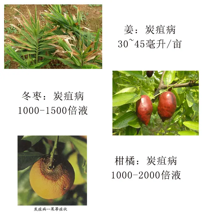 咪鲜胺4