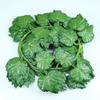 Flor Artificial Videira Folha Verde Trepadeira Rattan Teto Interno Decorativo Folhas Falsas Folhas de Uva Plástico Flores Falsas