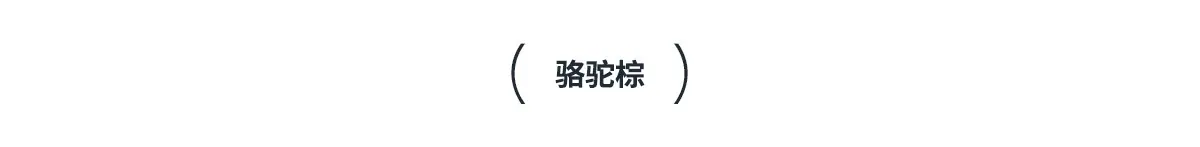 10模特图--骆驼棕_01.jpg