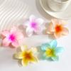 Simulação transfronteiriça Bauhinia Flor Candy Cor Grab Clip Ovo Transparente Flor Hairpin Banho Cabelo Grab Disc Hairpin Acessórios de cabelo