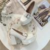 Mary Jane de Salto Grosso Retrô Estilo Britânico Feminino 2025 Primavera Novo Bico Redondo Boca Rasa Couro Envernizado Sapatos de Couro Pequenos para Mulheres