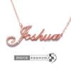 Collar de Plata Esterlina Hecho a Mano Personalizado con Foto, Letras de Nombre Personalizadas, Colgante de Diamante Inglés S925 Hecho a Medida Privado para Mujeres