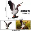 Modelo Animal Sólido Aves Artificiales Cerdo Pollo Pato Ganso Burro León Tigre Elefante Serpiente Cabra Vaca Gato Perro Juguete