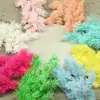 Flores Eternas Hojas de Pino 2g Materiales de Flores Eternas Kit de Materiales Hecho a Mano para DIY Caja de Regalo Vidrio