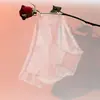 Ropa interior sexy de encaje de cintura baja y malla para mujer, entrepierna transpirable de algodón puro, cómoda, tangas de malla translúcida sin marcas para mujer