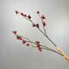 Rosa Branca de Frutas Simuladas Decoração de Casa Planta Novo Arranjo de Flores Chinoiserie Frutas Vermelhas Simuladas Frutas Brancas Pequenas Frutas Verdes