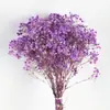 Gipsofila Flor Eterna Ramo de Flores Secas Venta Directa de Fábrica de Yunnan Gipsofila Flor Eterna Hecho a Mano DIY Flores al por Mayor