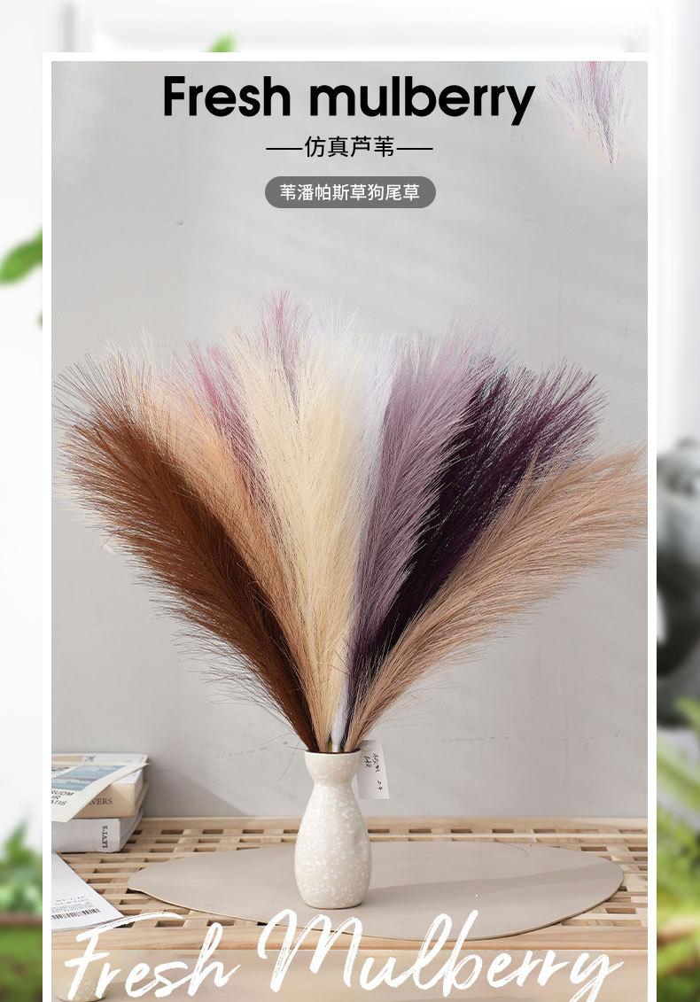 详情_01.jpg