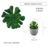 Simulação carnuda verde novo lótus vasos enfeites de mesa presente mini bonsai verde TEMU simulação planta