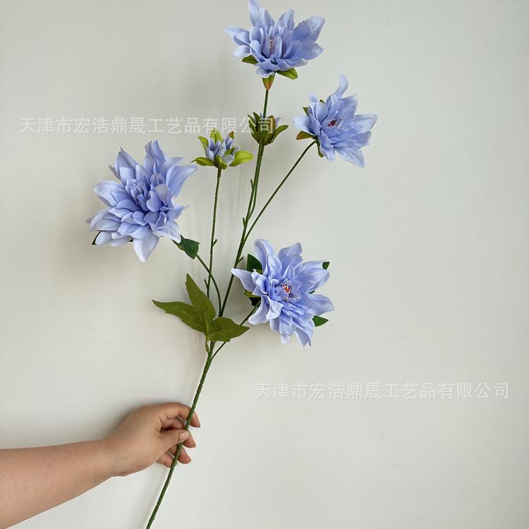 微信图片_202305251523314_副本