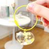 Pingente Transparente de Acrílico para Armazenamento de Pelos de Gato Pet, Pingente Chaveiro Coleção Comemorativa de Pelos de Gato