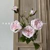 6 Rosas de Austin Segurando Flores Design Adereços para Fotos de Pousada Floricultura Som de Chocalho Explosões uma geração de cabelo
