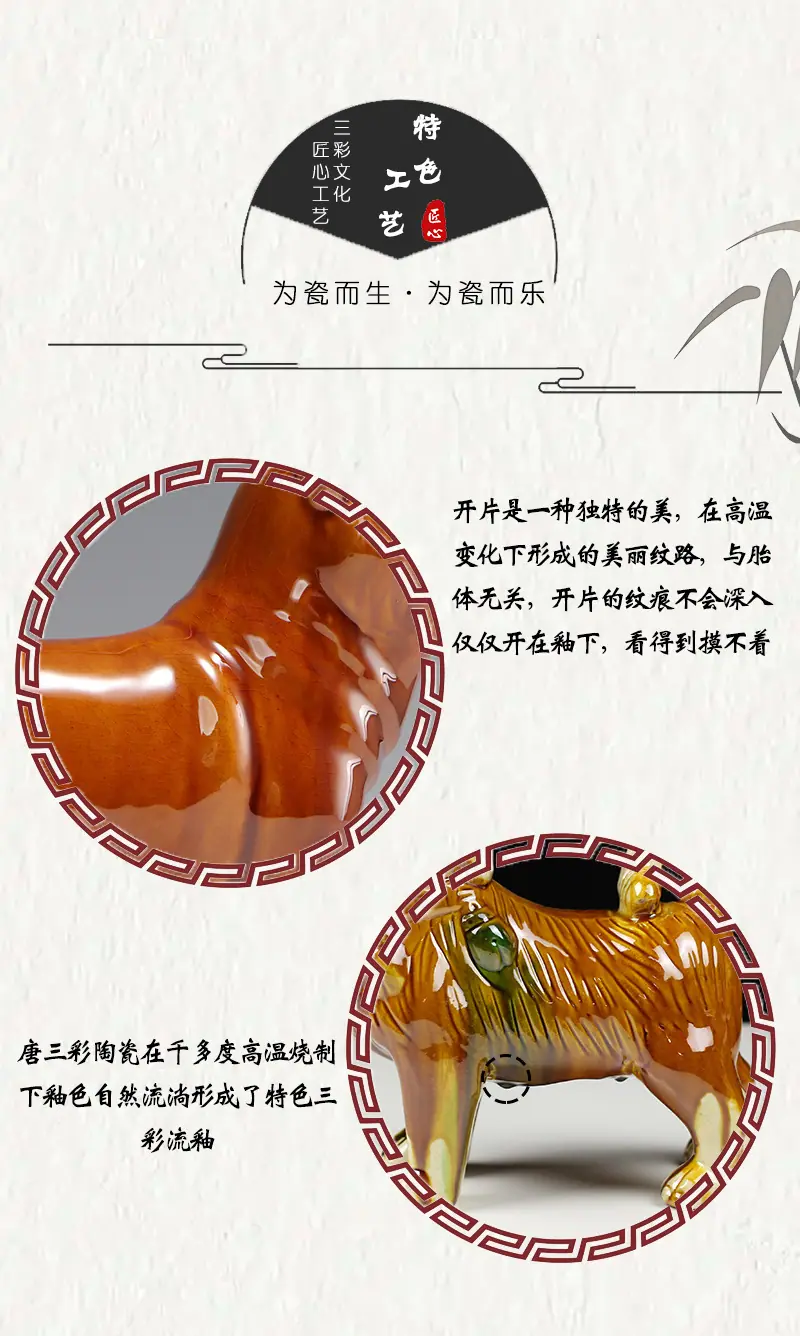 狗详情_09