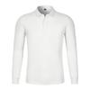 Camisa POLO de manga larga de otoño e invierno de color liso con solapa y logotipo estampado y bordado, ropa de trabajo, camisa cultural, ropa de grupo