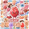 Novo Conjunto de 50 Adesivos de Órgãos Humanos Cartoon Fofos para Iluminação Cognitiva Infantil, Adesivos Decorativos Educativos e Divertidos à Prova d'Água