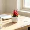 Producto popular transfronterizo: bonsái pequeño de aloe vera artificial en una jarra de vino, decoración del hogar fresca y sencilla para la mesa de la sala de estar, adorno de planta suculenta artificial