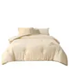 Colcha de algodón 100% de Xinjiang Clase A, engrosada para otoño e invierno, colcha cálida de invierno, estilo minimalista, núcleo de algodón tridimensional, colcha de resorte y otoño para dormitorio