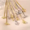 Tendência de Moda de Venda Quente de Inverno Transfronteiriça Colar com Pingente de Concha Estrela-do-Mar em Aço Titânio Corrente de Clavícula Colar Empilhado Texturizado Feminino para Mulheres