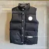 Comercio Transfronterizo Canada Goose Glacier Primavera, Otoño e Invierno Chaqueta Ligera de Plumas para Hombres y Mujeres, Chaleco de Moda de Gama Alta Forro Interior